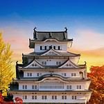 Che Stagione è in Giappone Adesso rispetto all’Italia? Guida al Clima