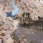 Quando Inizia la Scuola in Giappone? Scopri Tutti i Dettagli